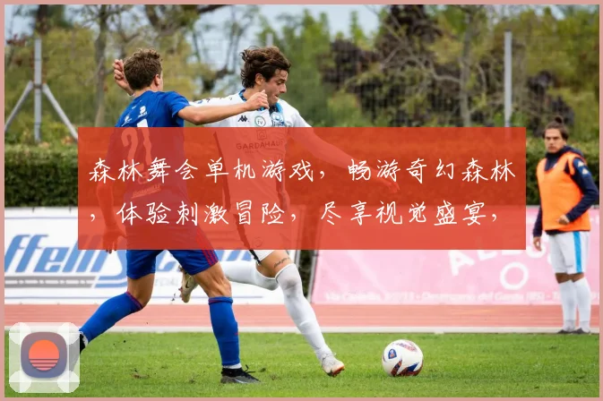 森林舞会单机游戏，畅游奇幻森林，体验刺激冒险，尽享视觉盛宴，不容错过