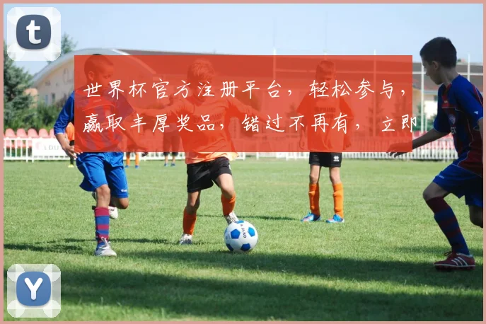 世界杯官方注册平台，轻松参与，赢取丰厚奖品，错过不再有，立即体验