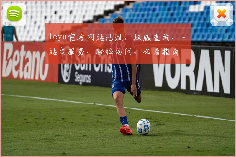 leyu官方网站地址，权威查询，一站式服务，轻松访问，必看指南